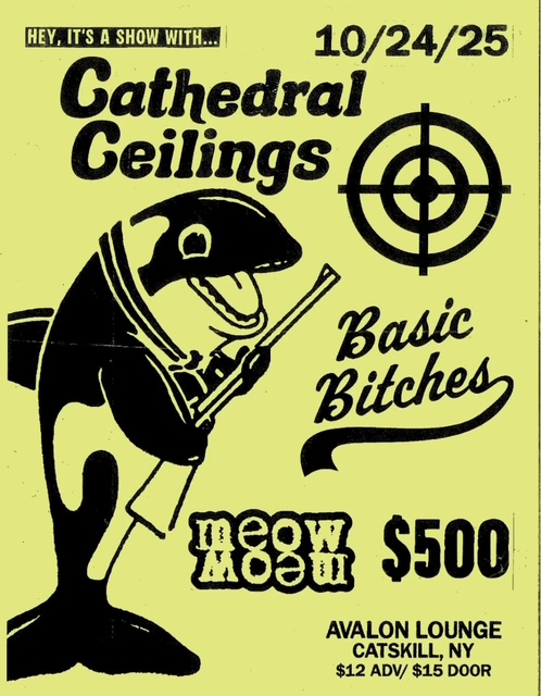Show at the avalon lounge with Cathedral Cielings, Basic Bitches, and Meow Meow