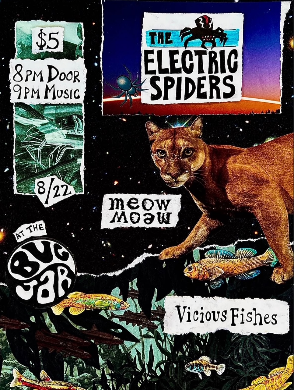 Bug Jar show with The Electric Spider, Viscious Fishes and Meow Meow