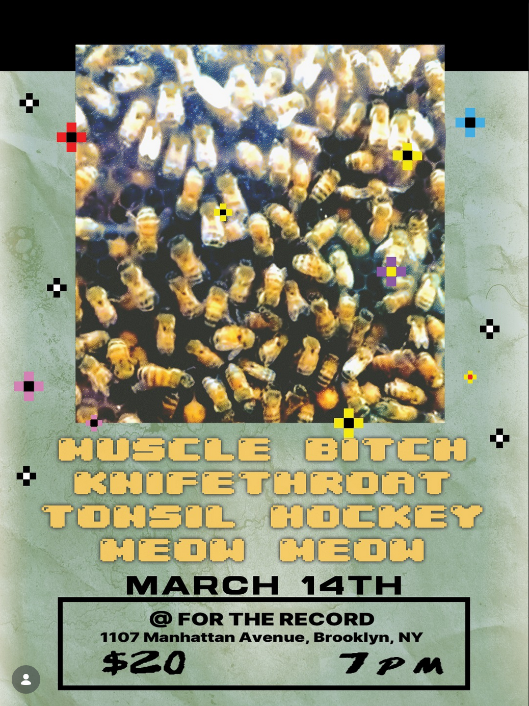 A show at For the Record in Brooklyn with Knifethroat, Muscle Bitch, Tonsil Hockey, and Meow Meow