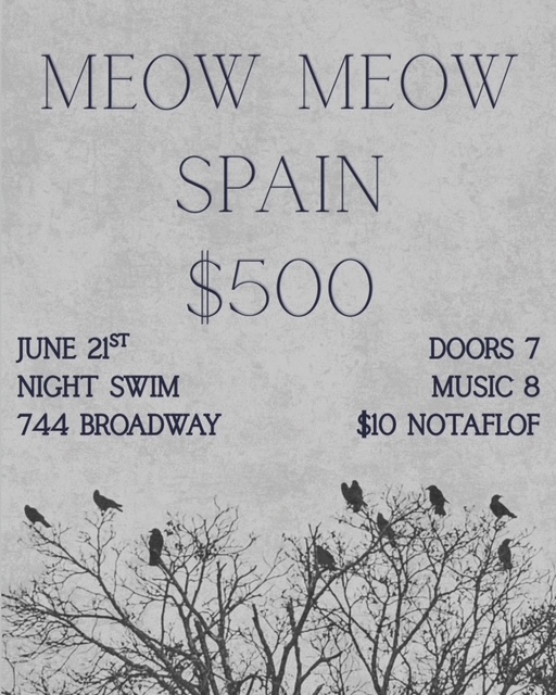 Night Swim in Kingston with $500, Spain, and Meow Meow